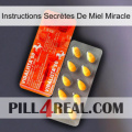 Instructions Secrètes De Miel Miracle new01